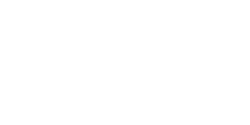bindi-logo3