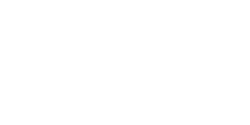 logo-froneri2